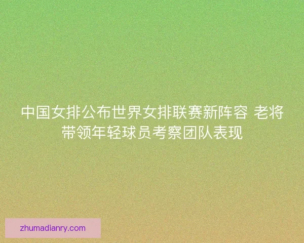中国女排公布世界女排联赛新阵容 老将带领年轻球员考察团队表现